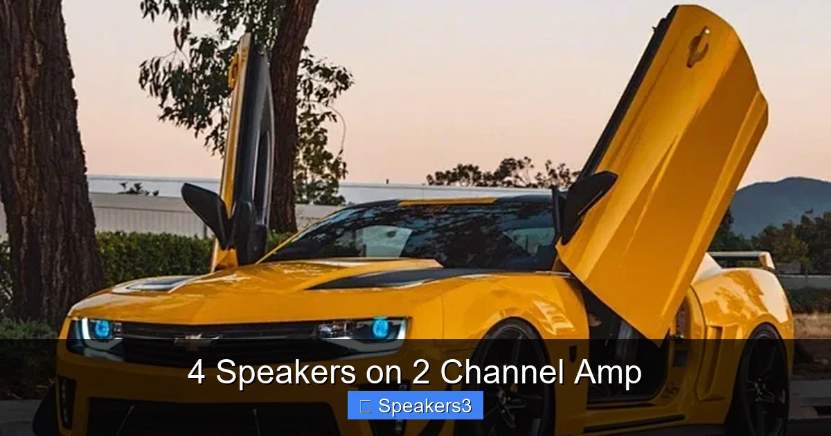 4 Speakers on 2 Channel Amp