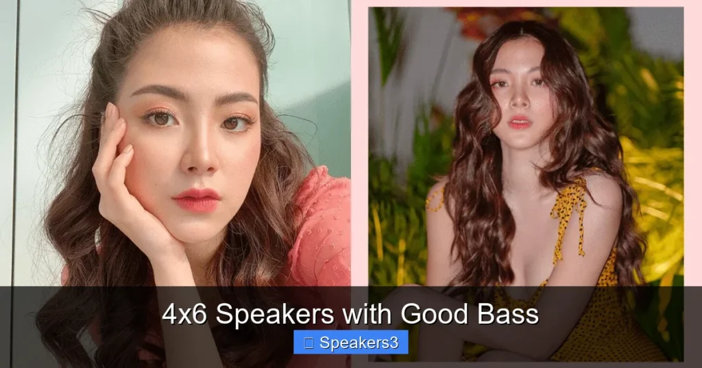4x6 Speakers with Good Bass