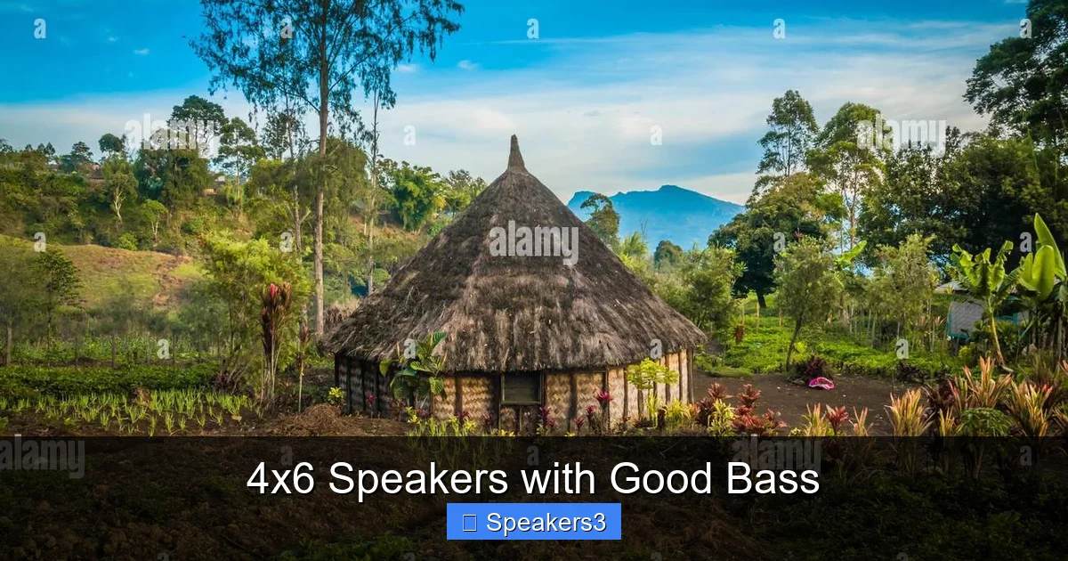 4x6 Speakers with Good Bass