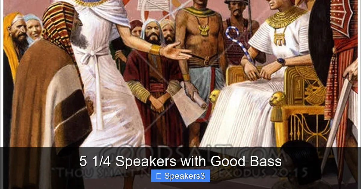 5 1/4 Speakers with Good Bass