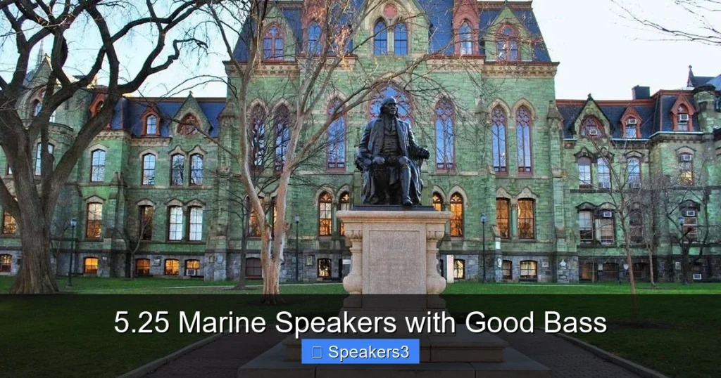 5.25 Marine Speakers with Good Bass