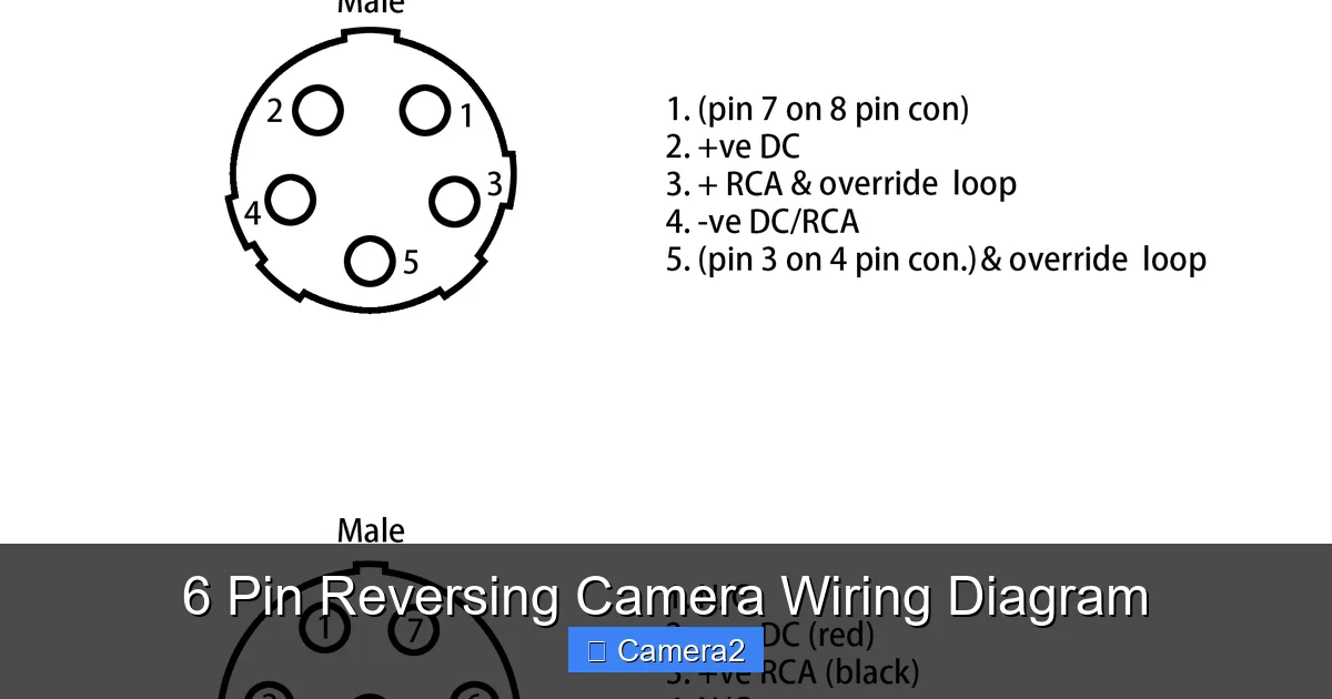 6 Pin Reversing Camera Wiring Diagram