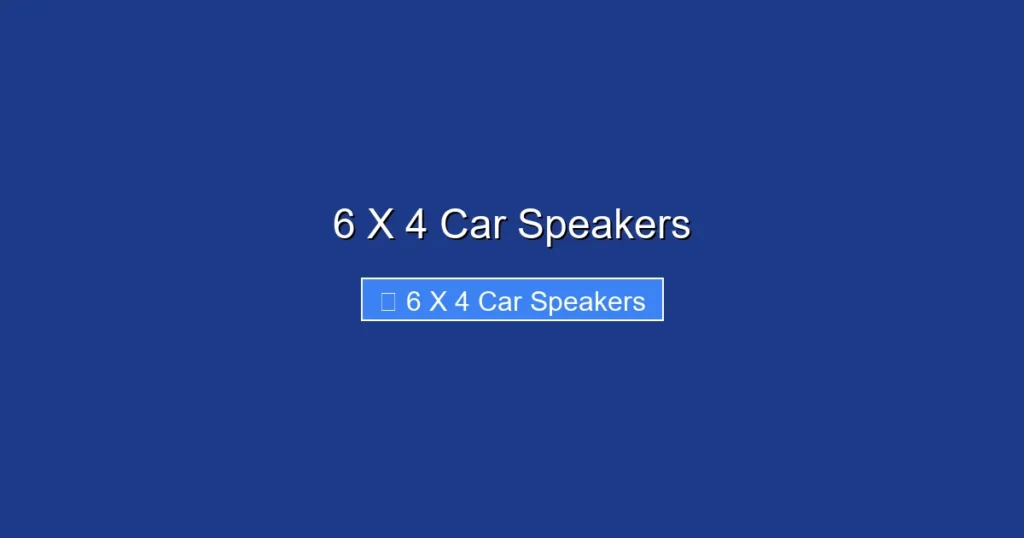 6 X 4 Car Speakers
