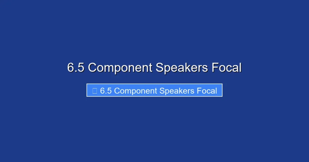 6.5 Component Speakers Focal