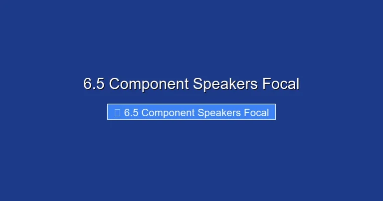 6.5 Component Speakers Focal