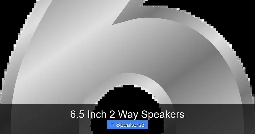 6.5 Inch 2 Way Speakers