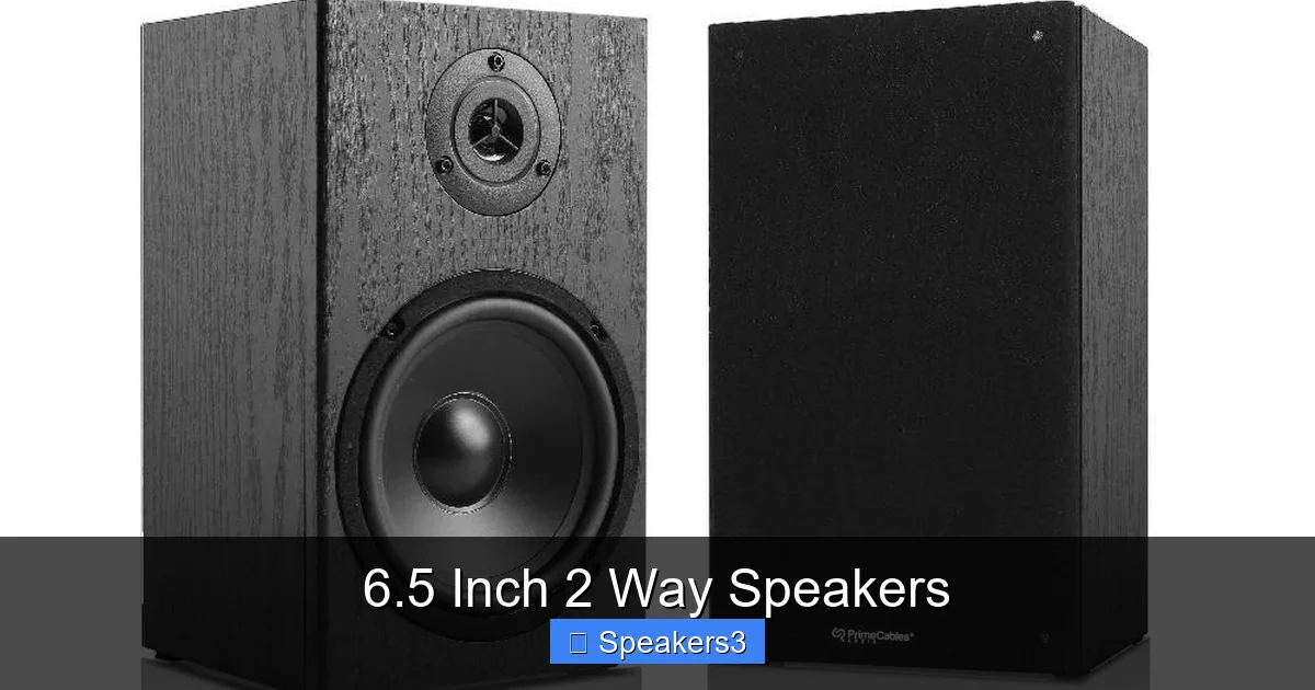 6.5 Inch 2 Way Speakers