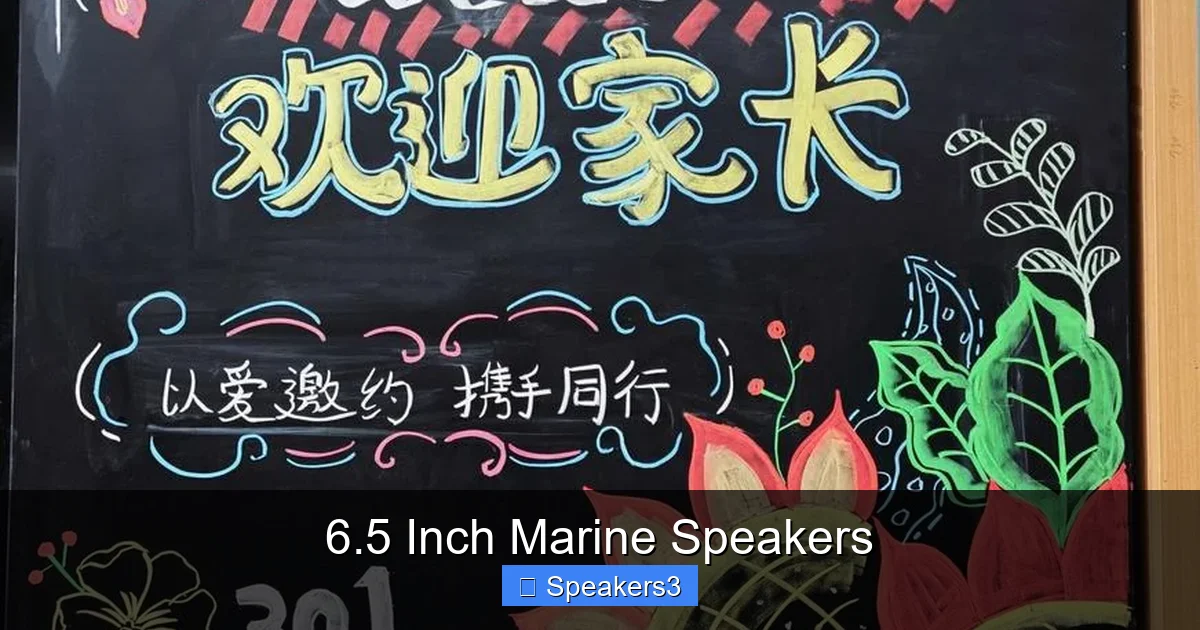 6.5 Inch Marine Speakers