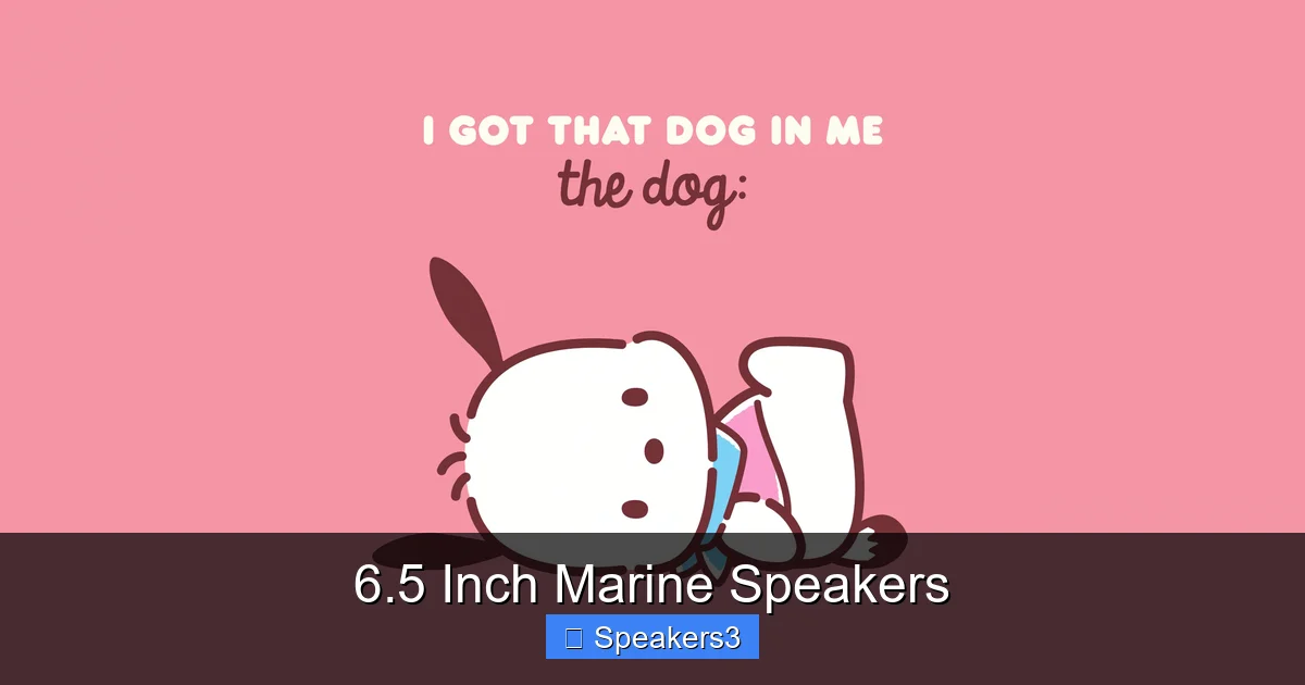6.5 Inch Marine Speakers