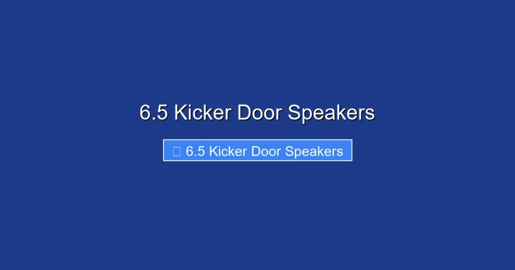 6.5 Kicker Door Speakers