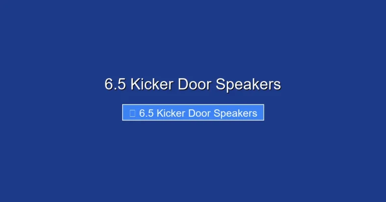 6.5 Kicker Door Speakers