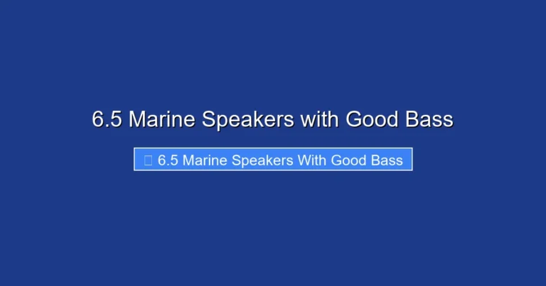 6.5 Marine Speakers with Good Bass