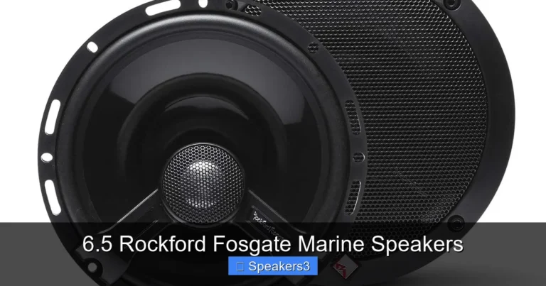 6.5 Rockford Fosgate Marine Speakers