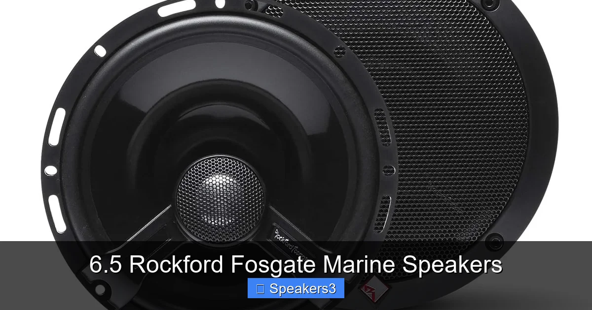6.5 Rockford Fosgate Marine Speakers