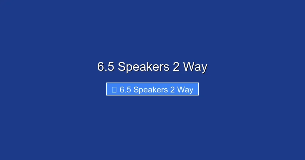 6.5 Speakers 2 Way