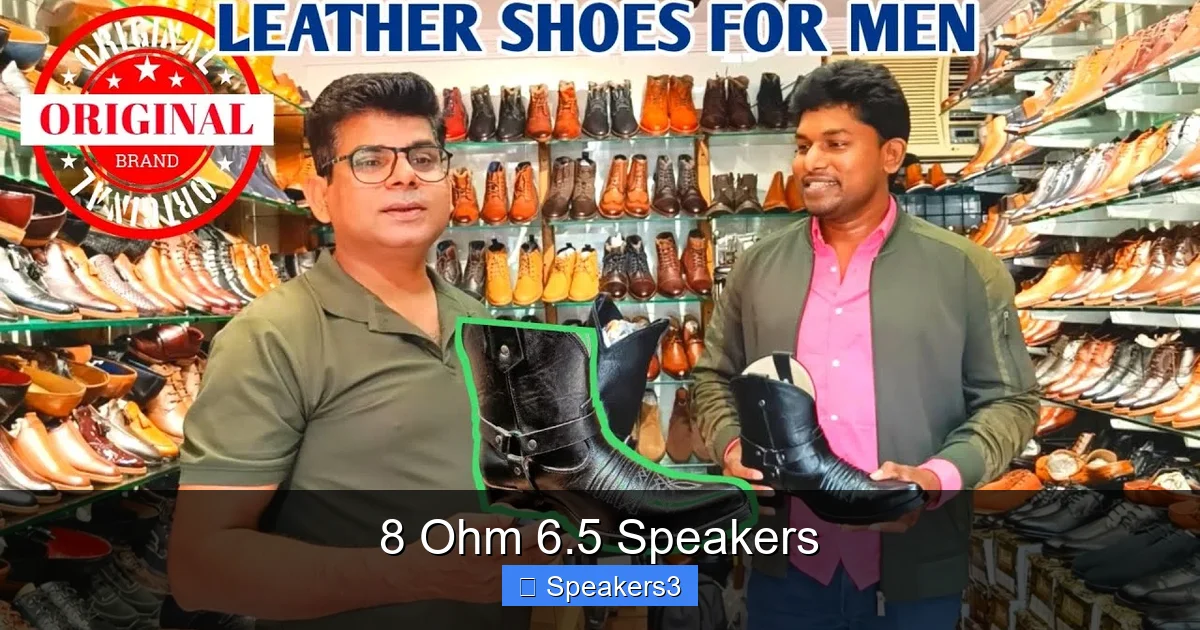 8 Ohm 6.5 Speakers