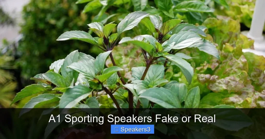 A1 Sporting Speakers Fake or Real