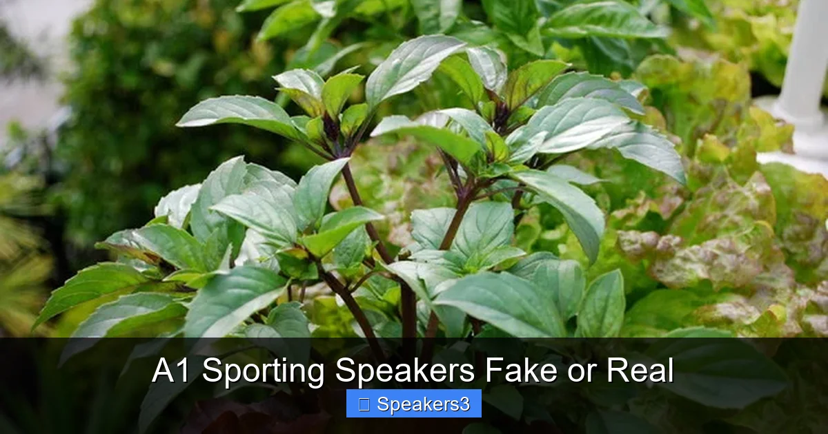 A1 Sporting Speakers Fake or Real