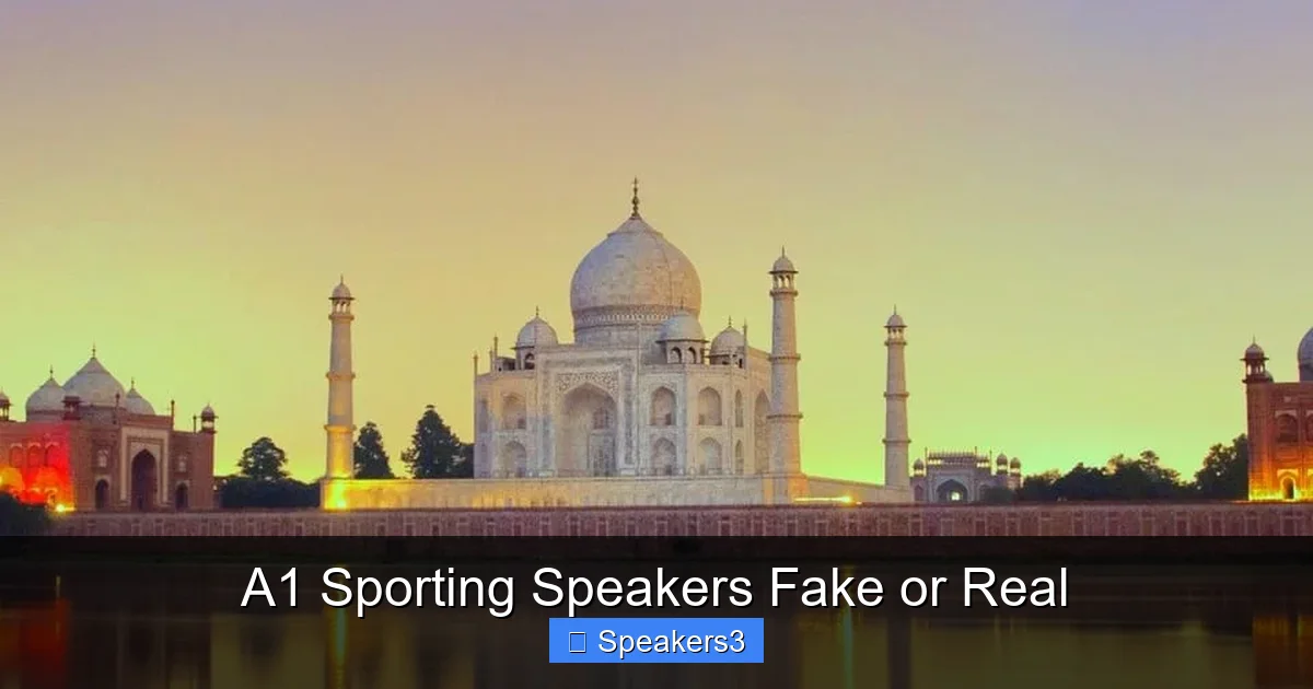 A1 Sporting Speakers Fake or Real