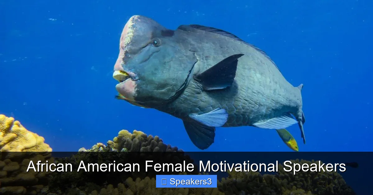 African American Female Motivational Speakers