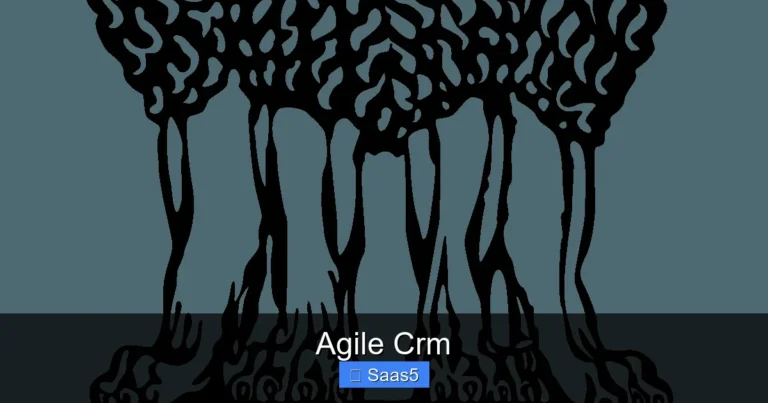 Agile Crm