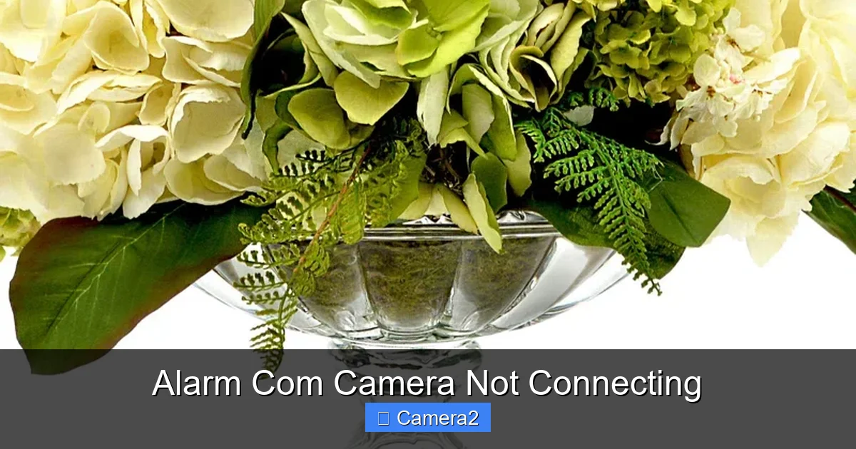Alarm Com Camera Not Connecting