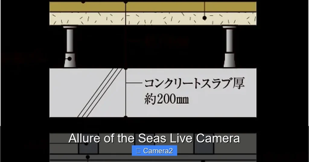 Allure of the Seas Live Camera