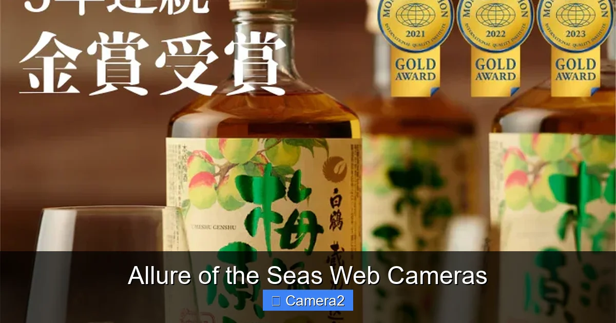 Allure of the Seas Web Cameras