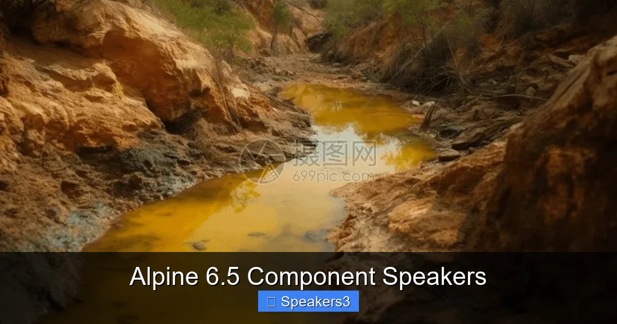 Alpine 6.5 Component Speakers