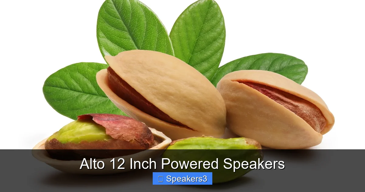 Alto 12 Inch Powered Speakers