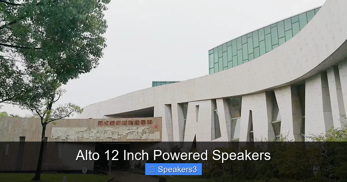 Alto 12 Inch Powered Speakers
