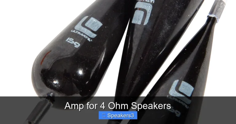 Amp for 4 Ohm Speakers