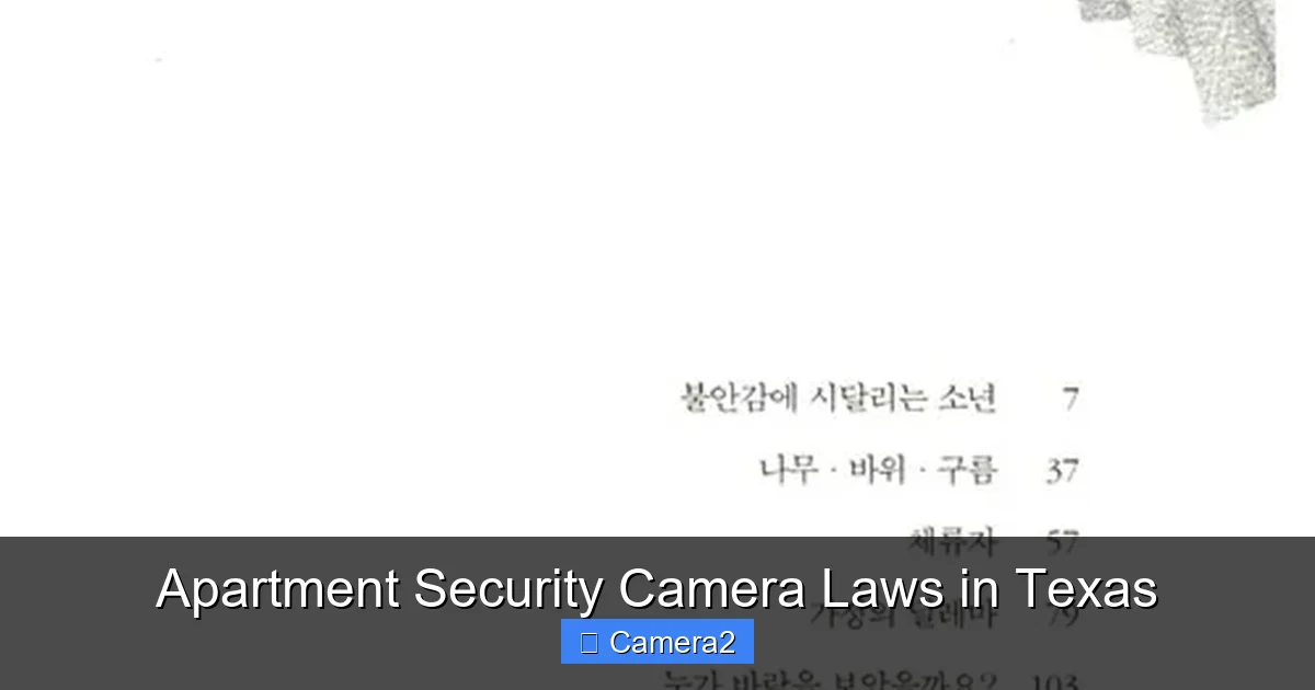 Apartment Security Camera Laws in Texas