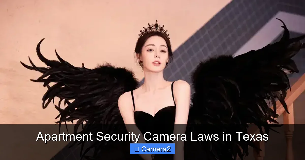 Apartment Security Camera Laws in Texas