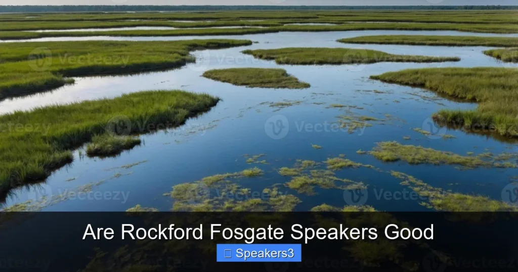 Are Rockford Fosgate Speakers Good