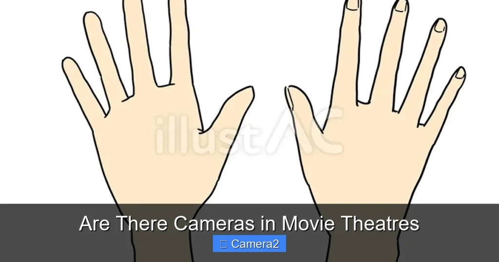 Are There Cameras in Movie Theatres