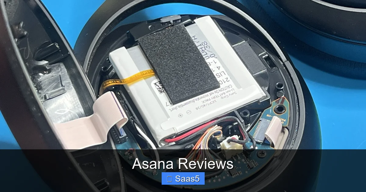 Asana Reviews