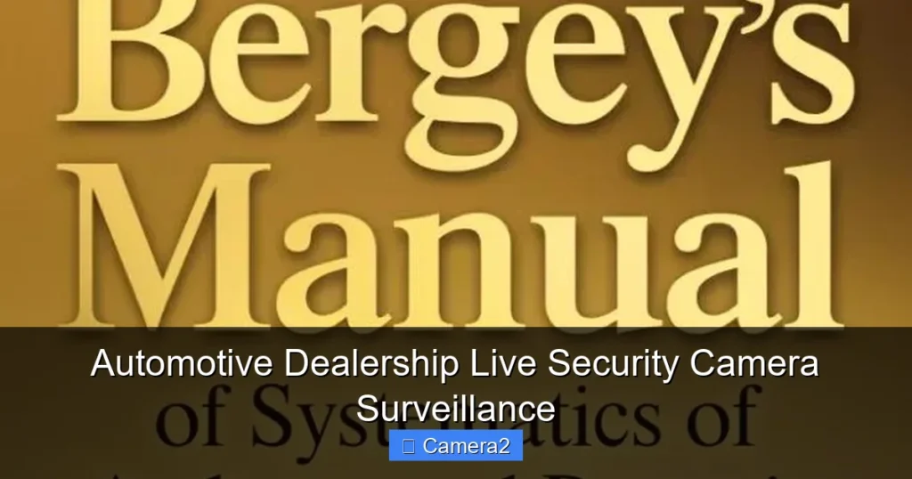 Automotive Dealership Live Security Camera Surveillance