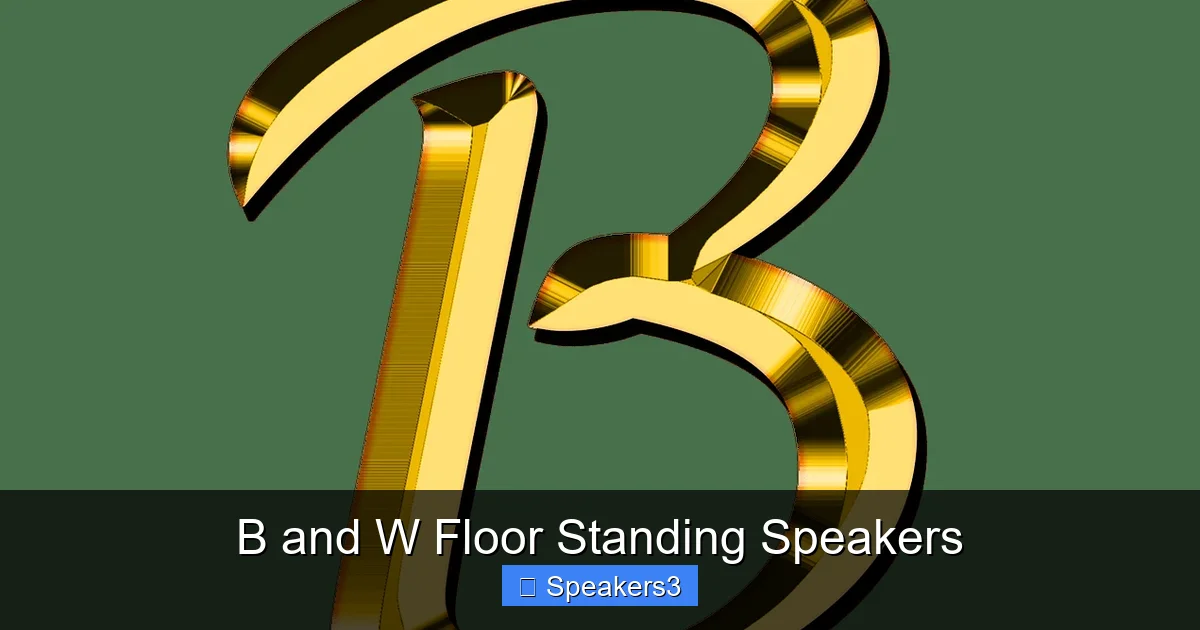 B and W Floor Standing Speakers