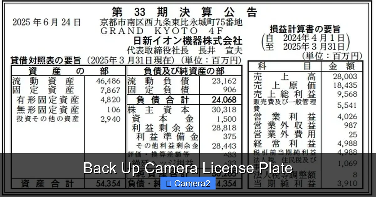 Back Up Camera License Plate