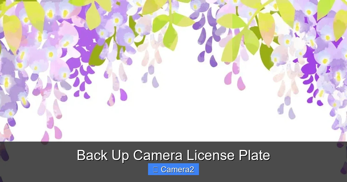 Back Up Camera License Plate