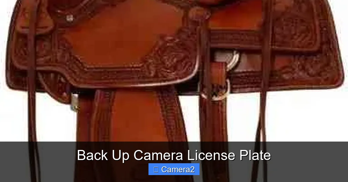 Back Up Camera License Plate
