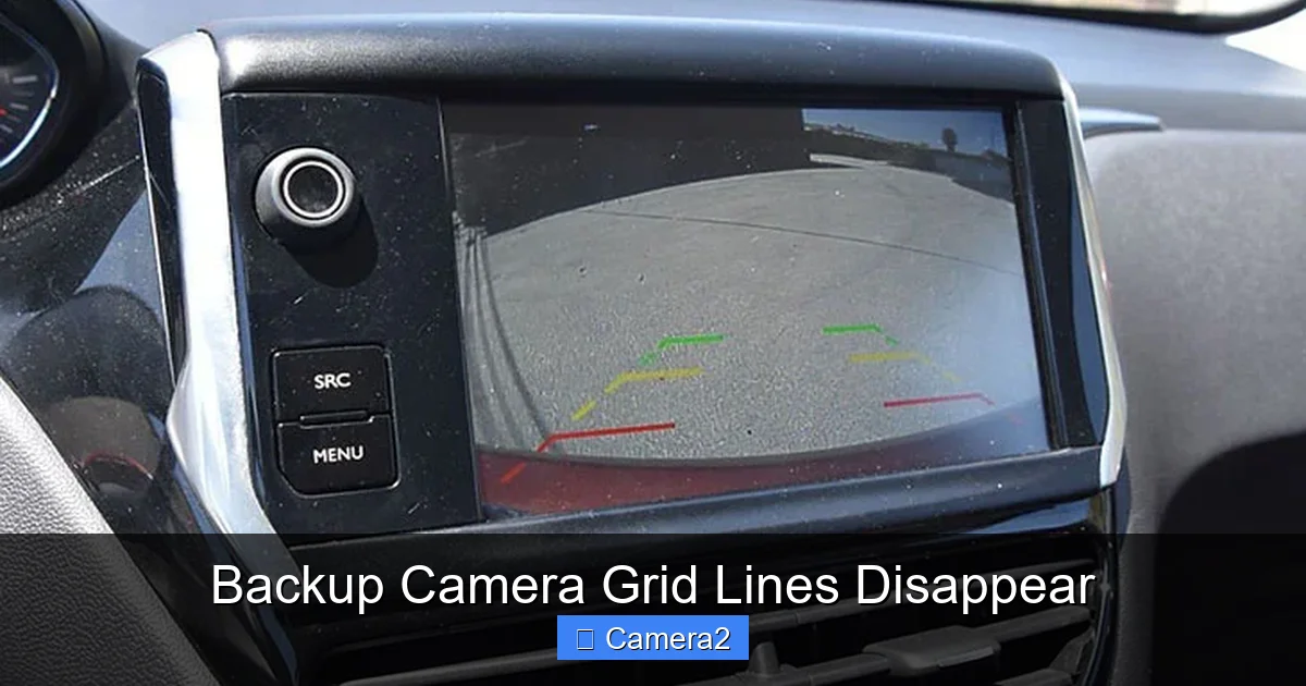 Backup Camera Grid Lines Disappear
