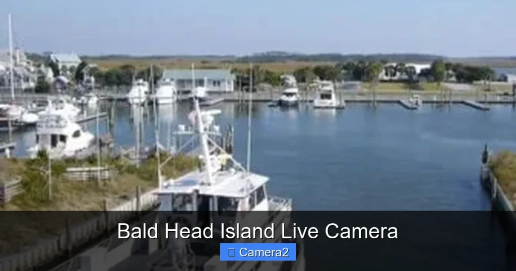 Bald Head Island Live Camera