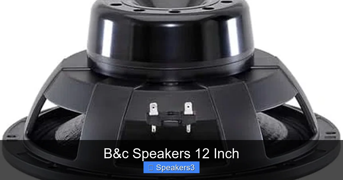 B&c Speakers 12 Inch