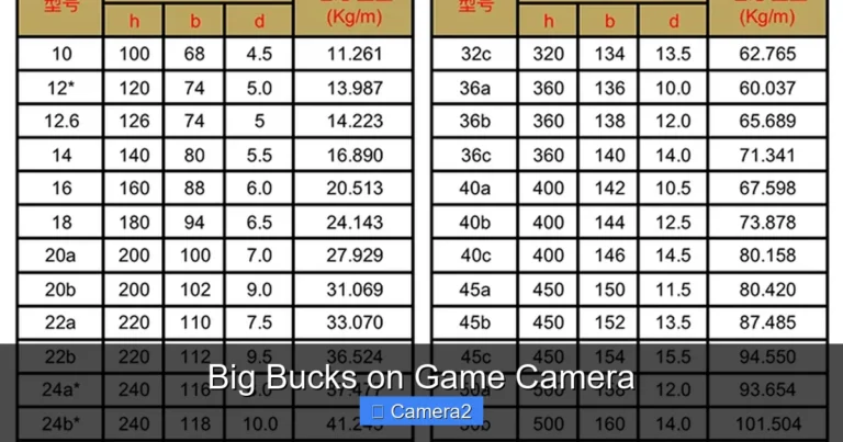 Big Bucks on Game Camera