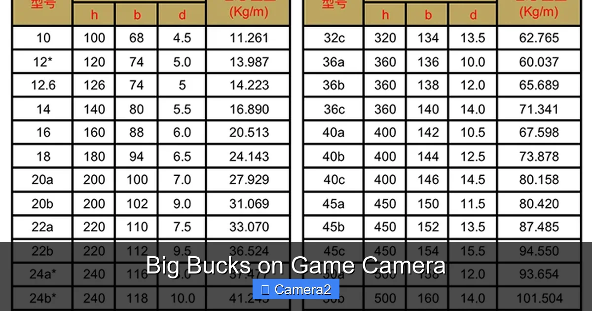 Big Bucks on Game Camera