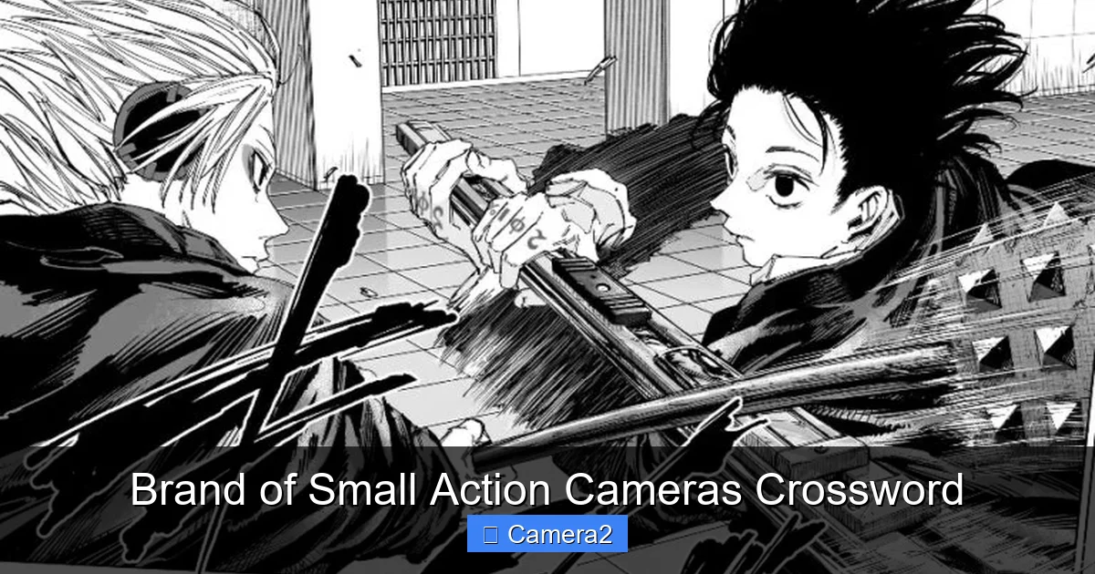 Brand of Small Action Cameras Crossword