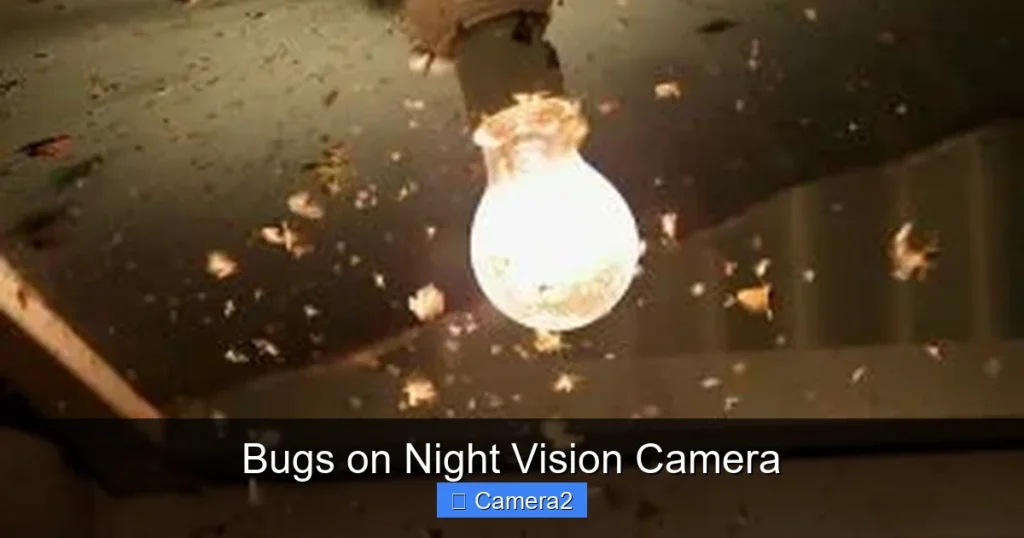 Bugs on Night Vision Camera