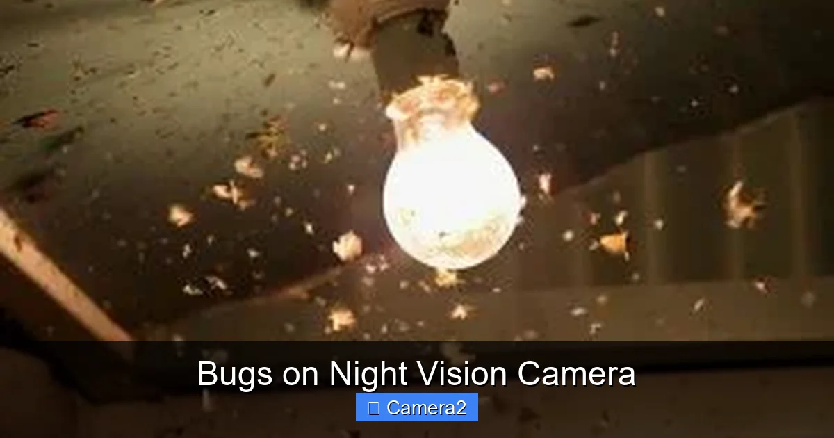 Bugs on Night Vision Camera